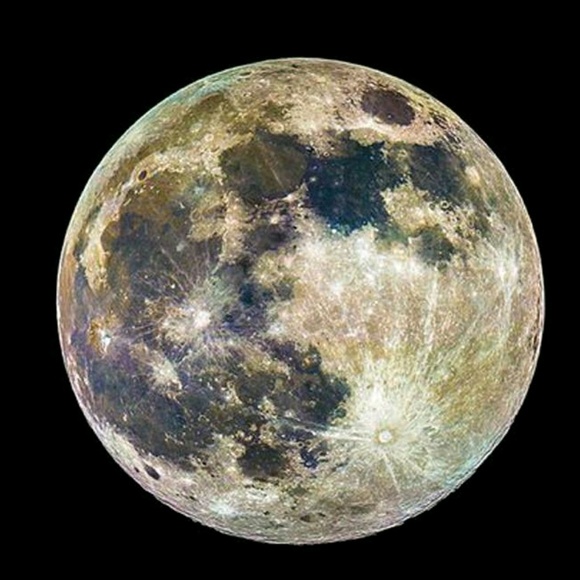 Meet your Posher, Kendell - Picture 1 of 1